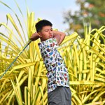RLT_0884