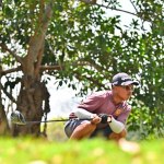 RLT_1667