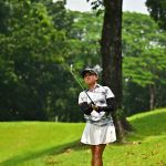 RLT_6551