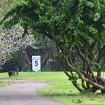 NGAP_RLT_4334