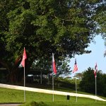 NGAP_RLT_1623