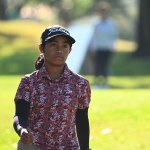 NGAP_3293