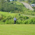 CJY08744