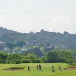 CJY08809