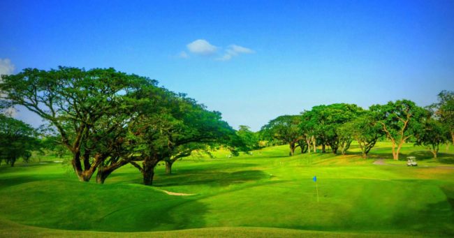 Contact Details – National Golf Association of the Philippines