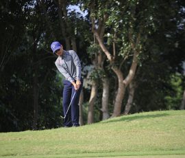 50