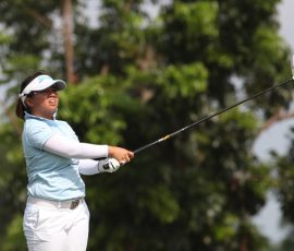 harmie constantino in 14