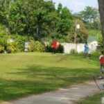 image-1432027990061-V