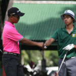 tolentino and villaroman