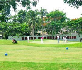 19 mid am